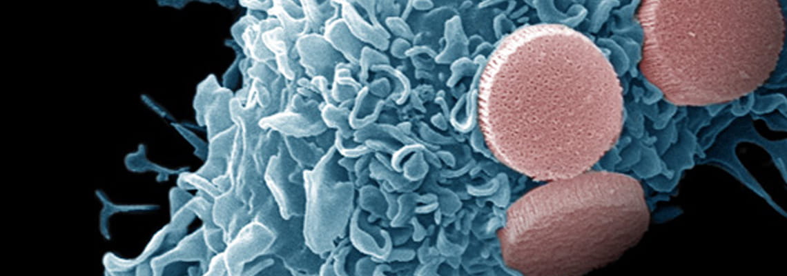 Department Of Nanomedicine Houston Methodist