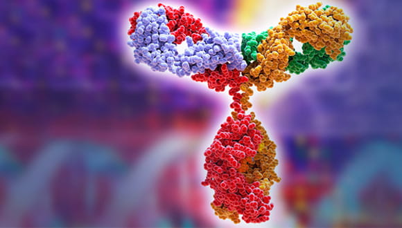 What Is Monoclonal Antibody Therapy Who Is Eligible To Receive It Houston Methodist On Health