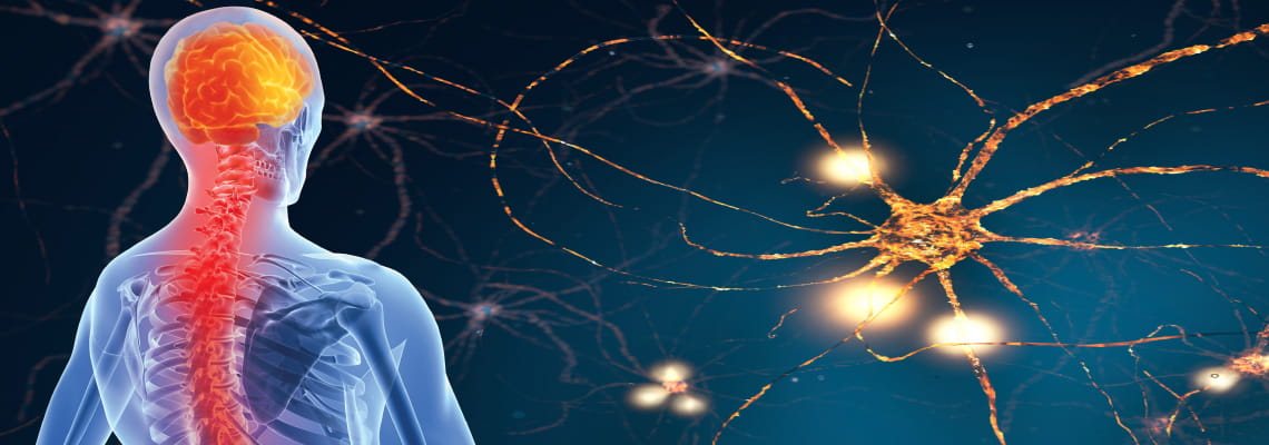 Neuroscience Spine Center At Sugar Land Hospital Houston Methodist