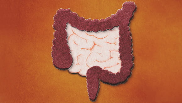 colon graphic for colorectal cancer podcast
