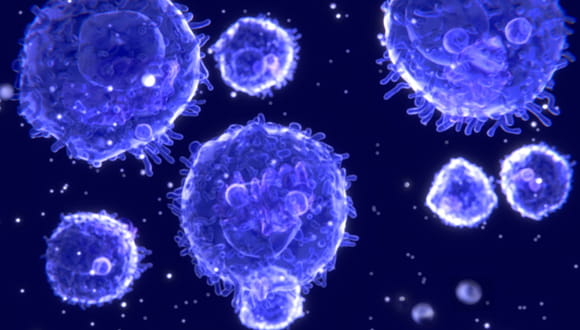 Can Your Immune System Protect You From Coronavirus Strains