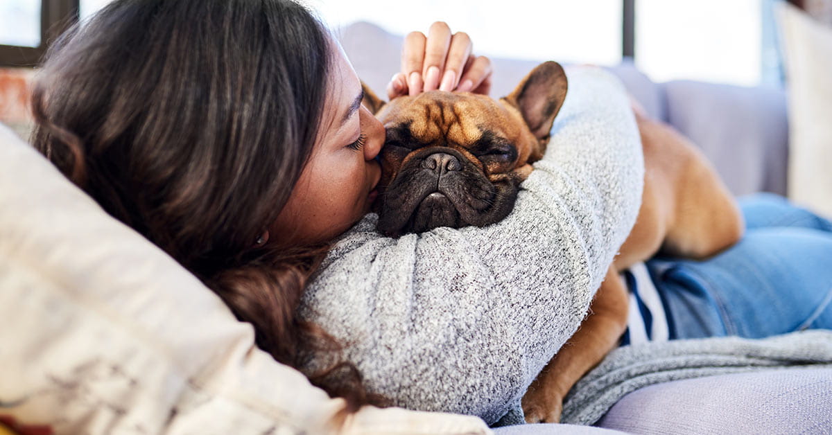 dog sick in bed