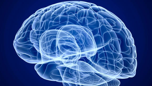 Is Your Brain A Muscle Houston Methodist On Health