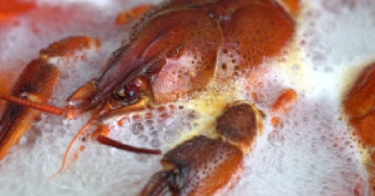 Crawfish Boils: Healthy or Unhealthy? - Houston Methodist
