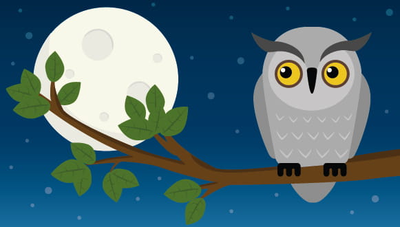 So, You're A Night Owl: Is That Bad?