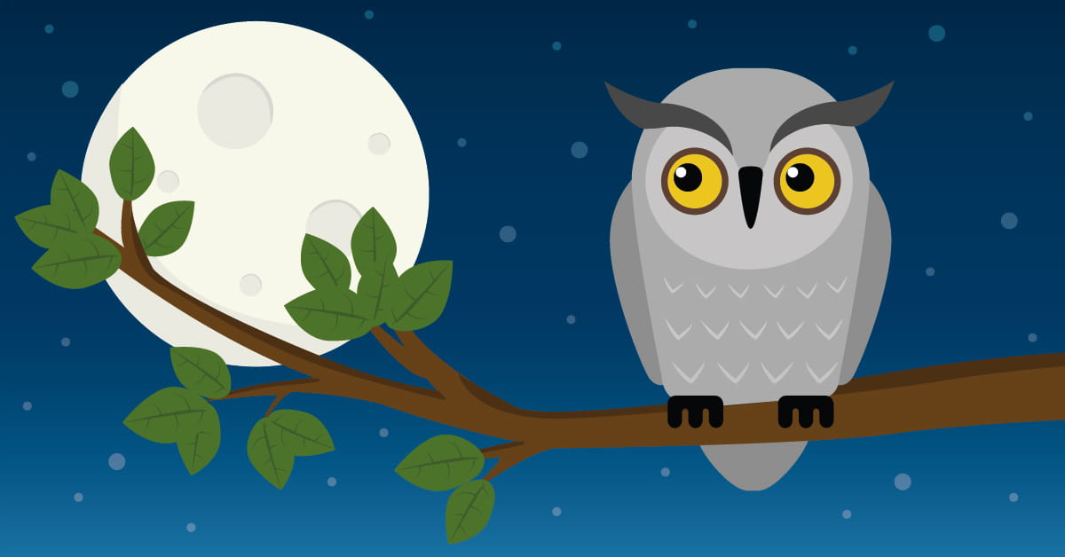 So, You'Re A Night Owl: Is That Bad? | Houston Methodist On Health