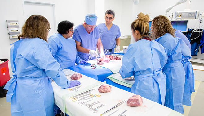 nurse trainees gather around physicians dissecting pig hearts in a training exercise