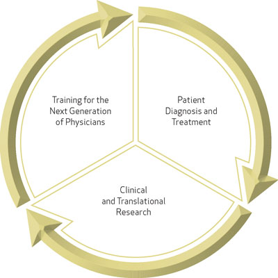 Image of Circle of Research