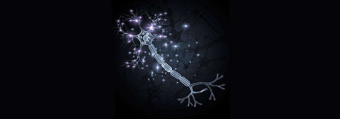 Astrocytes | Center for Neuroregeneration | Houston Methodist