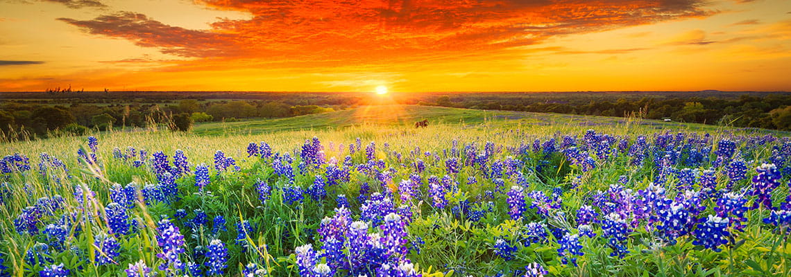 Employee Spiritual Care