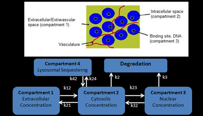 Biomathematics Core 