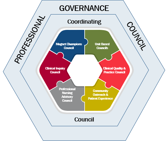 shared governance model 