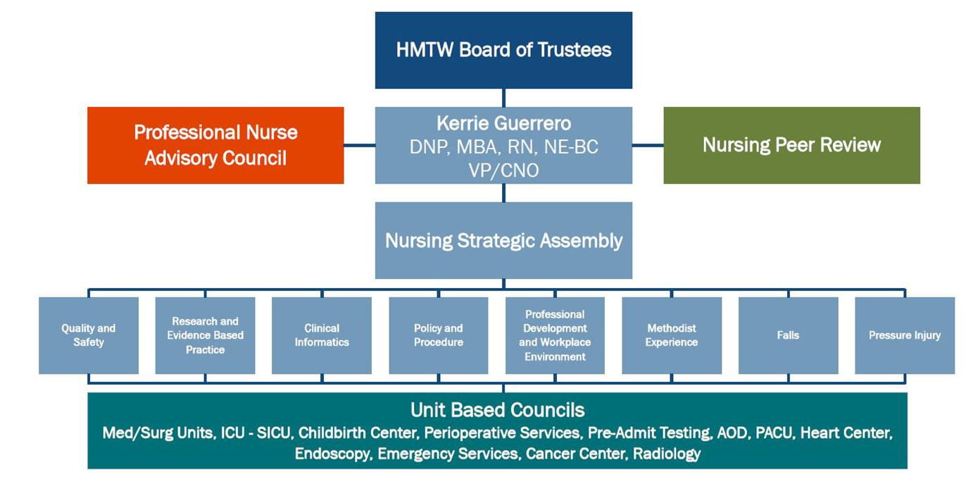 HMTW Shared Governance Nursing