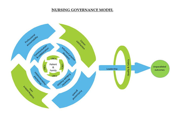 HMWB Shared Governance Nursing