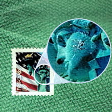 stamp enlargement