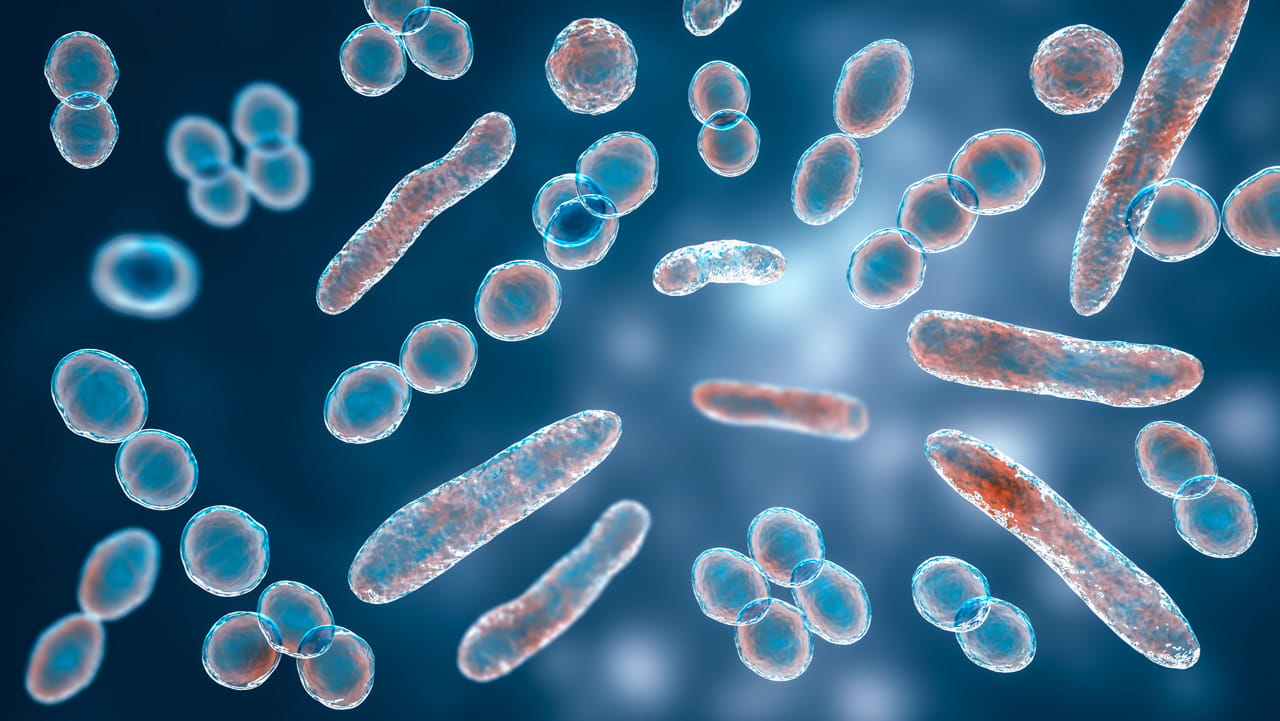 Microscopic illustration of mixed microorganisms, showing round, bubble-like cells and elongated rod-shaped bacteria floating.
