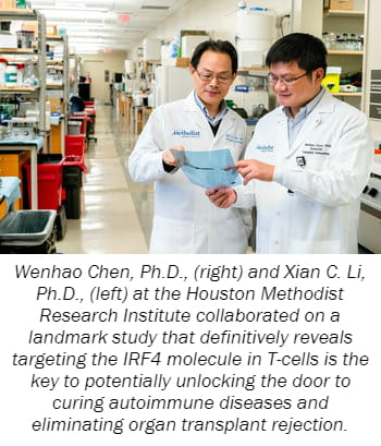 Wenhao Chen, Ph.D., (right) and Xian C. Li, Ph.D., (left) at the Houston Methodist Research Institute collaborated on a landmark study that definitively reveals targeting the IRF4 molecule in T-cells is the key to potentially unlocking the door to curing autoimmune diseases and eliminating organ transplant rejection.