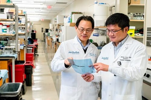 Discussing research results in the lab at the Houston Methodist Research Institute, Wenhao Chen, Ph.D., (right) and Xian C. Li, Ph.D., (left) have collaborated for many years. Credit: Humberto Jaime for Houston Methodist