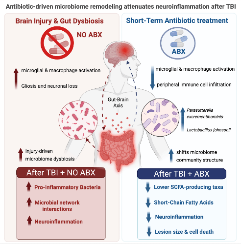 Image created using Biorender