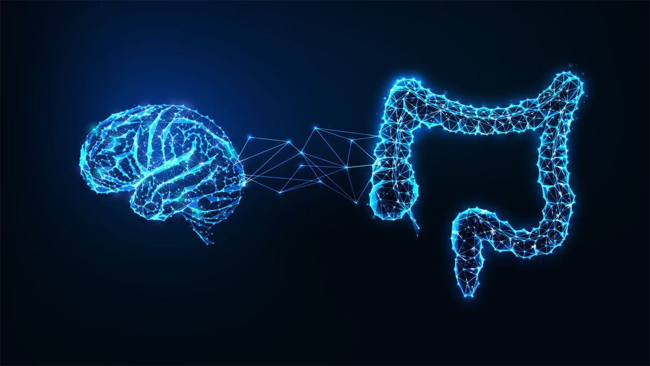 Gut and brain connection showing a complex bidirectional communication pathway with numerous arrows representing their vital interaction in human health