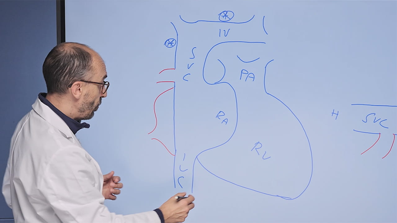 dr quarti at the whiteboard