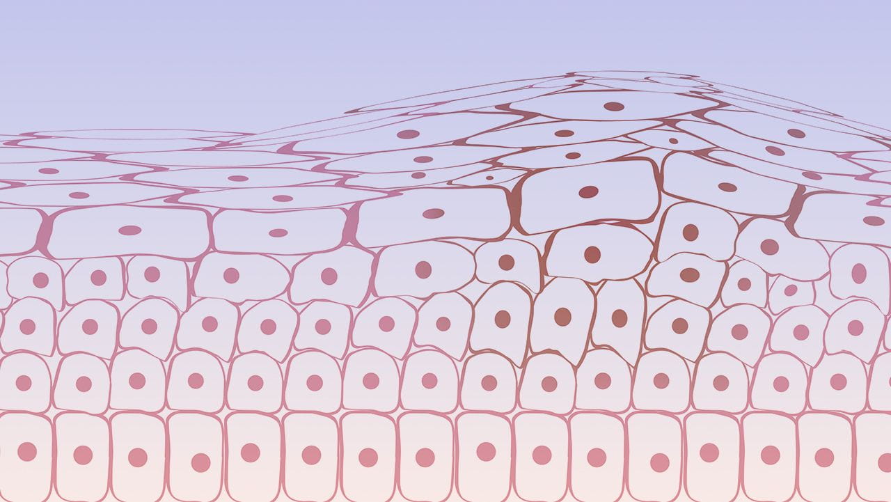 Extreme closeup rendering of cancer cells in early stage of developing into a tumor.