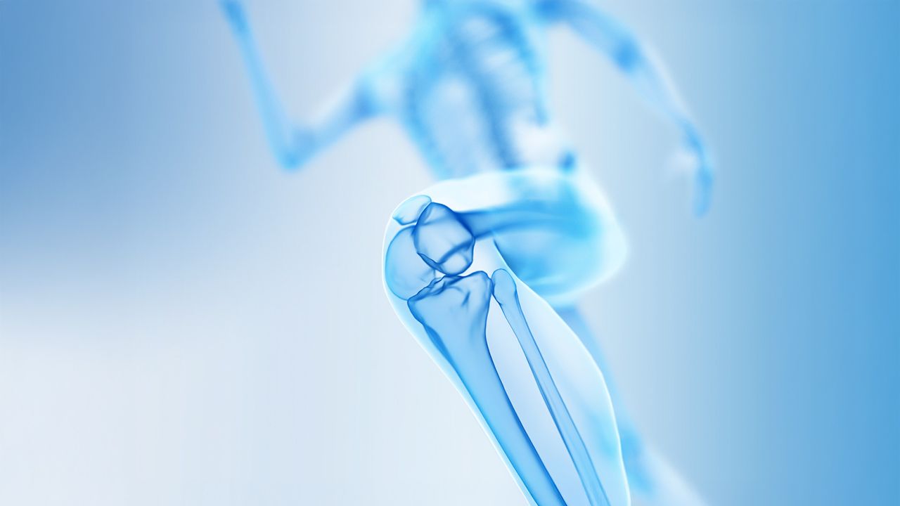 depiction of leg bone