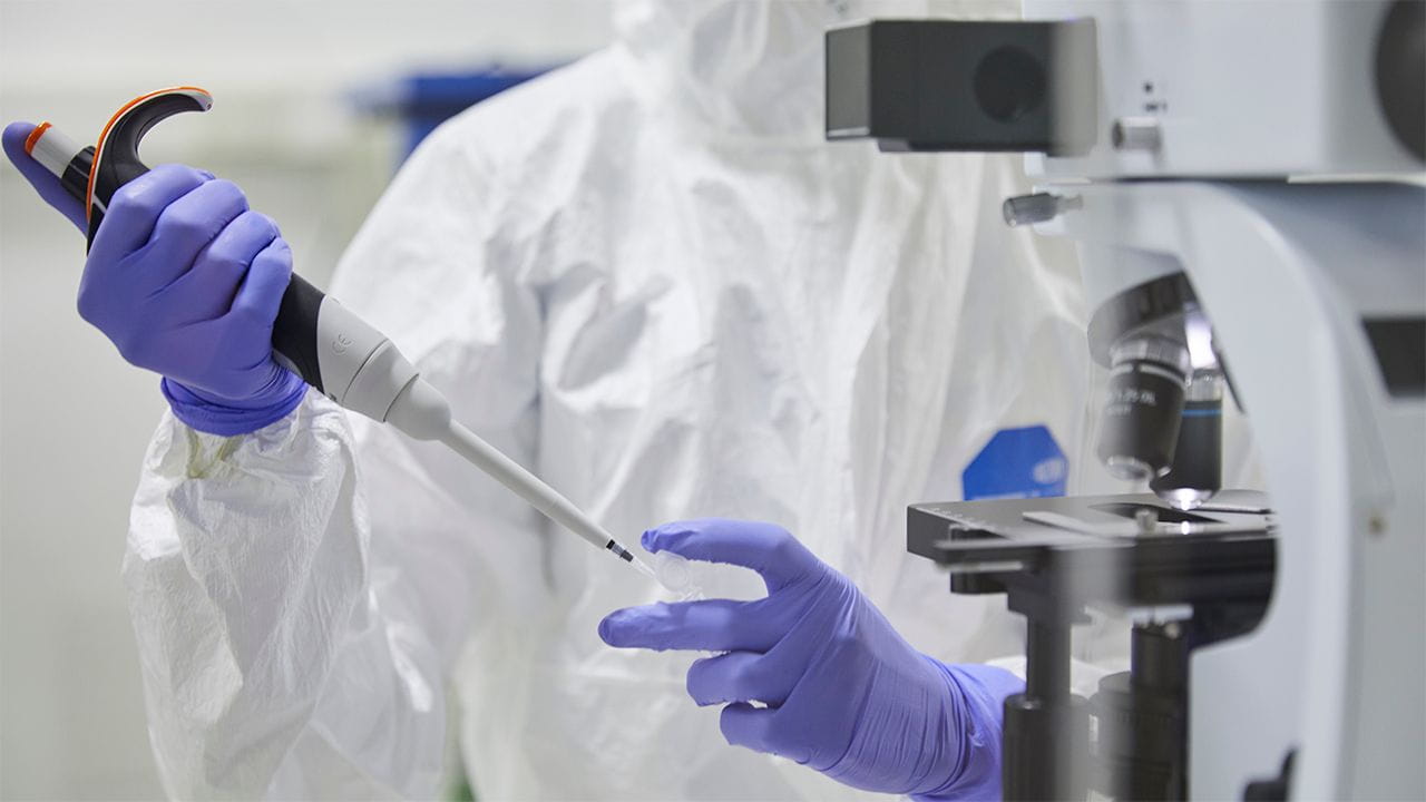 person working with stem cells