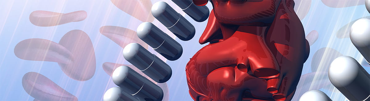 heart medical image