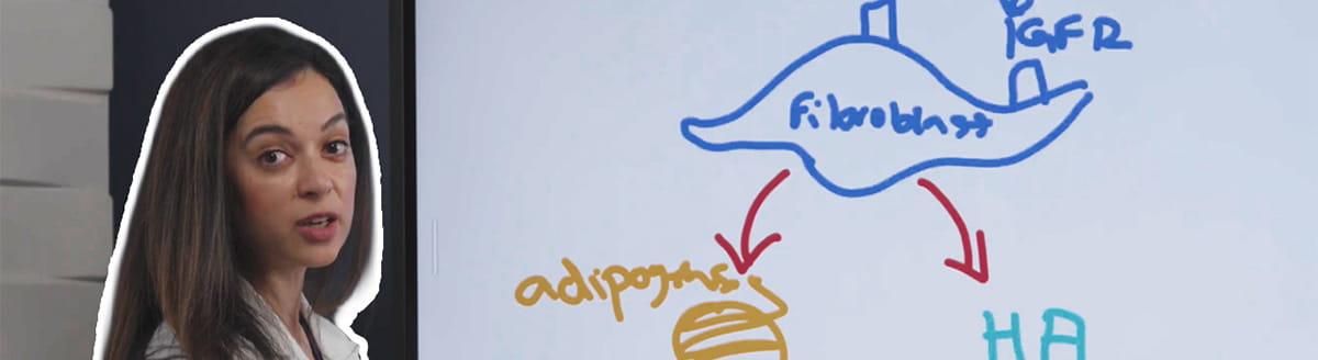 Amina Malik, MD, standing beside a whiteboard displaying a hand-drawn scientific diagram. The diagram includes a cell labeled “fibroblast,” arrows pointing to “adipocytes” and “HA,” and additional handwritten biological notations, illustrating a cellular pathway or disease mechanism.