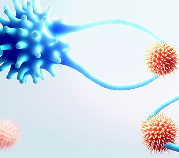 Cytotoxic T cells capturing cancer cells, illustration