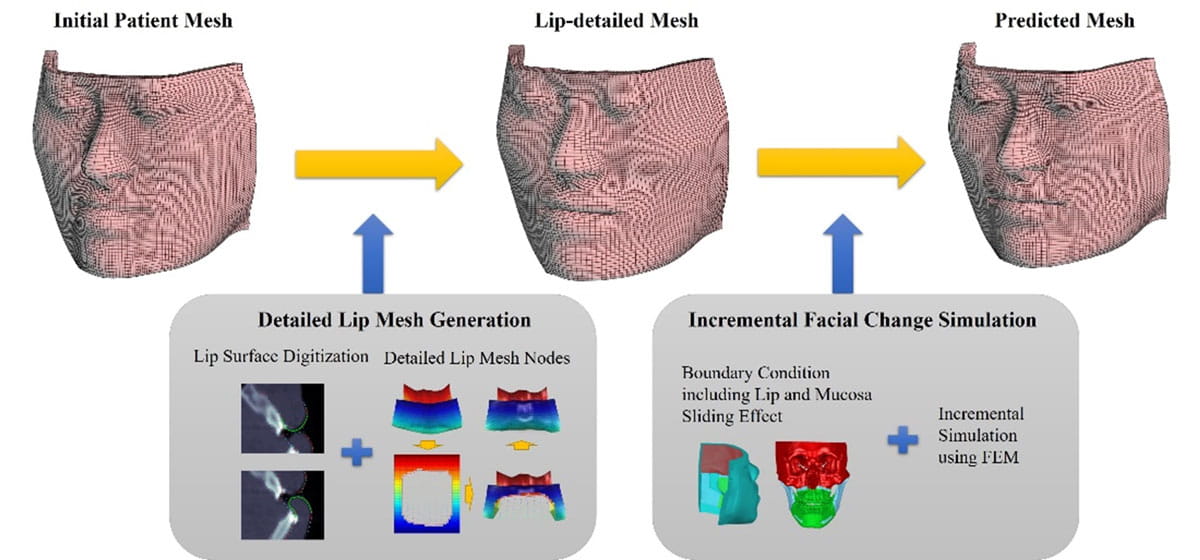 flow chart with digital images of faces