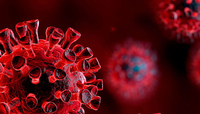 Computer-generated image of a Coronavirus