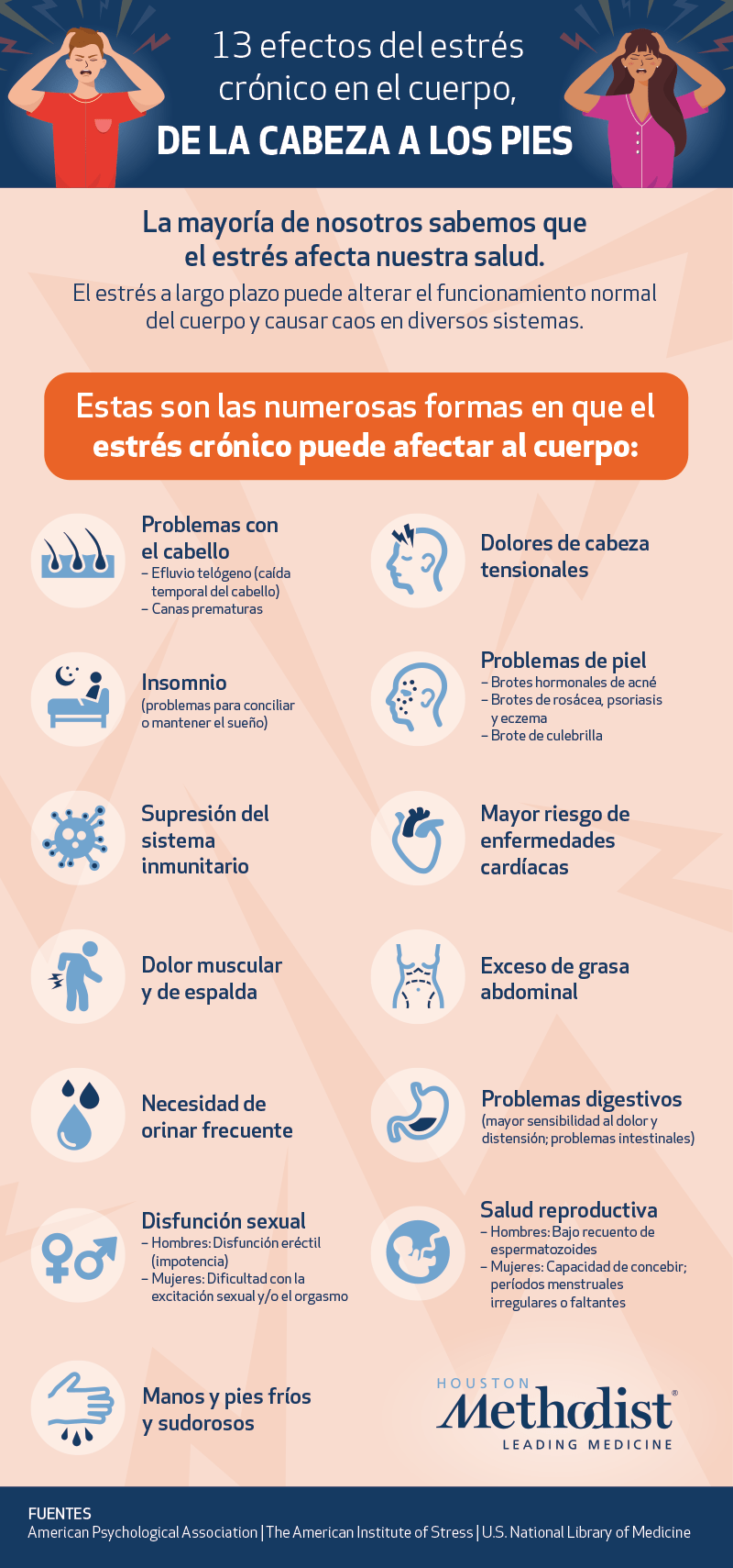 Chronic Stress Infographic