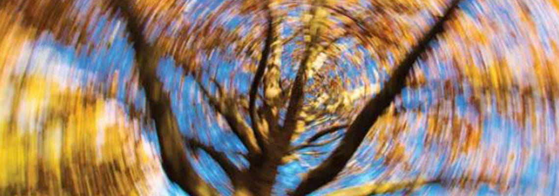 Tree with everything around it spinning